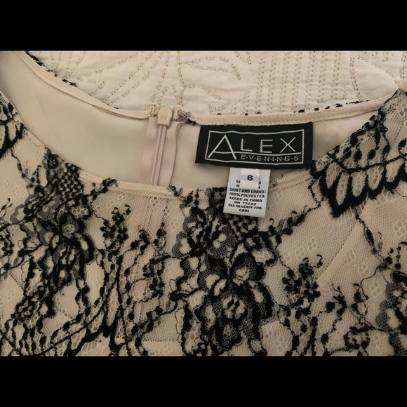Alex Evenings lace chiffon gown - Picture 5 of 9